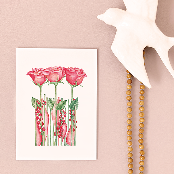 roses sur un mur avec hirondelle